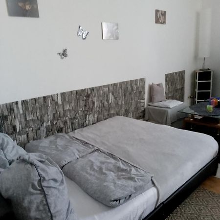 Studiowohnung, Neu Renoviert, Zentrale Lage 萨尔路易斯 外观 照片