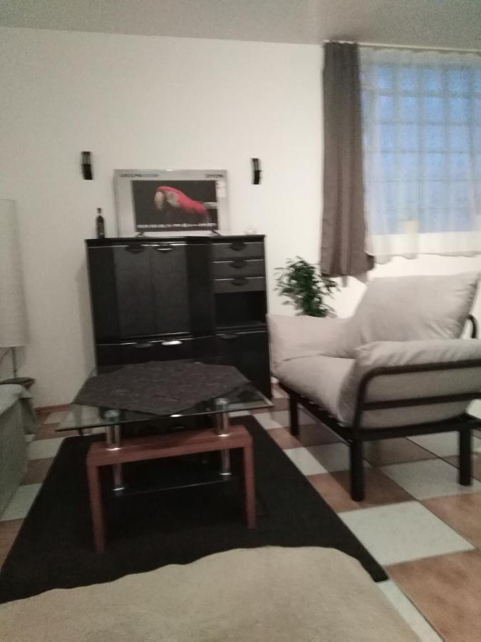 Studiowohnung, Neu Renoviert, Zentrale Lage 萨尔路易斯 外观 照片