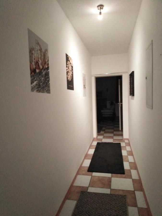 Studiowohnung, Neu Renoviert, Zentrale Lage 萨尔路易斯 外观 照片