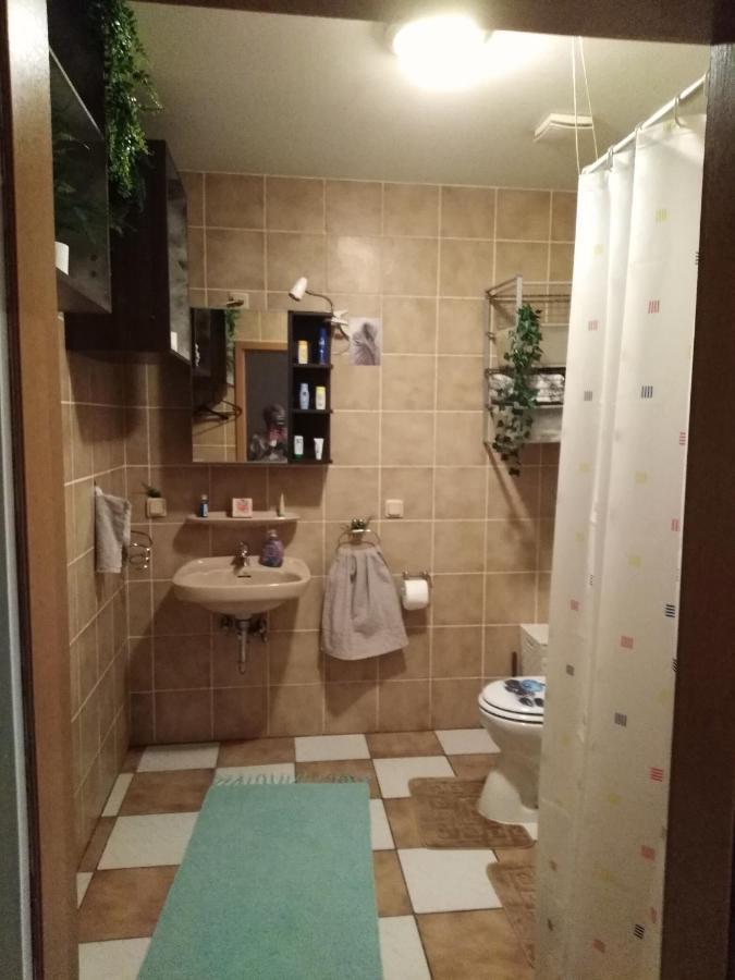 Studiowohnung, Neu Renoviert, Zentrale Lage 萨尔路易斯 外观 照片