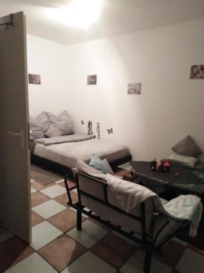 Studiowohnung, Neu Renoviert, Zentrale Lage 萨尔路易斯 外观 照片
