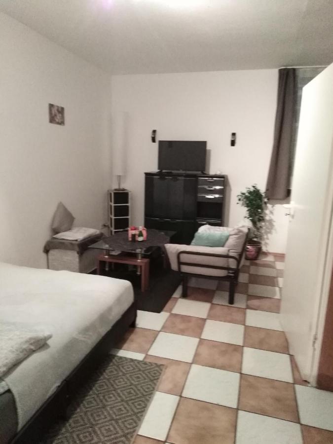 Studiowohnung, Neu Renoviert, Zentrale Lage 萨尔路易斯 外观 照片