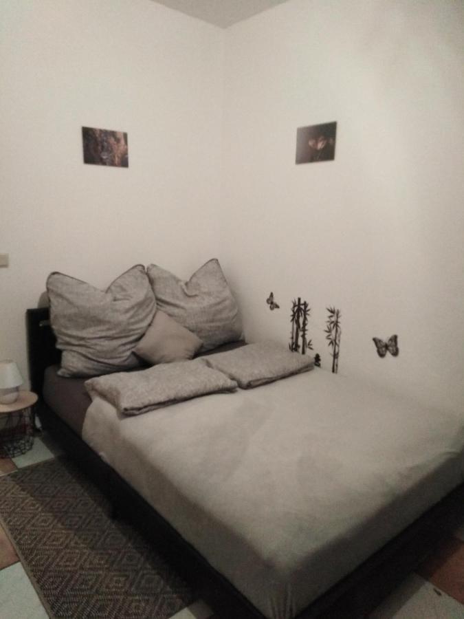 Studiowohnung, Neu Renoviert, Zentrale Lage 萨尔路易斯 外观 照片